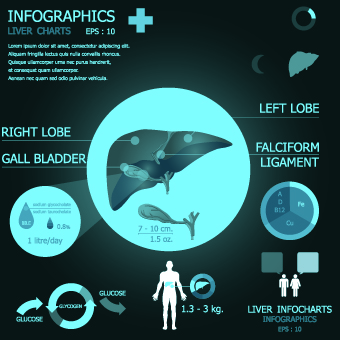 Infographic medical creative vector 02