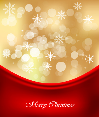 Shiny 2014 Christmas Snowflake background Vector 02