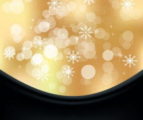Shiny 2014 Christmas Snowflake background Vector 03