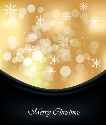 Shiny 2014 Christmas Snowflake background Vector 03