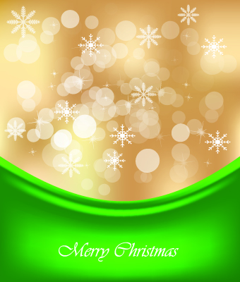 Shiny 2014 Christmas Snowflake background Vector 05