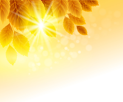 Autumn Golden yellow background vector 01