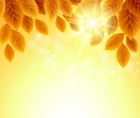 Autumn Golden yellow background vector 02