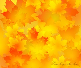 Autumn Golden yellow background vector 06