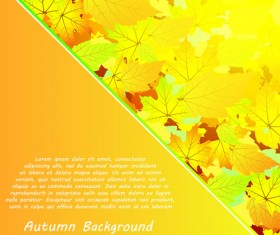 Autumn beautiful background vector set 09