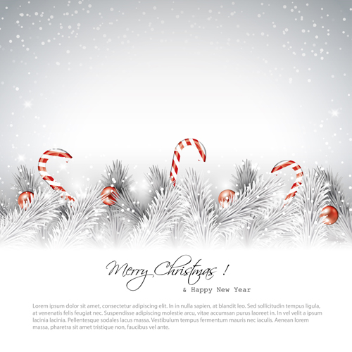 Christmas baubles with Winter background vector