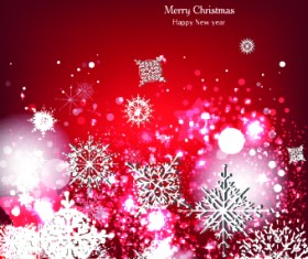 Ornate Christmas Snowflake vector background 02