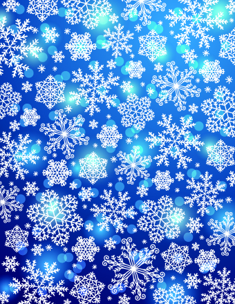 Vector Winter snowflakes background 04