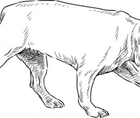 Hand drawn dogs vector set 01