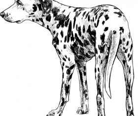 Hand drawn dogs vector set 02