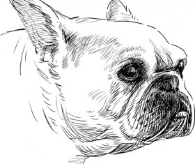 Hand drawn dogs vector set 05