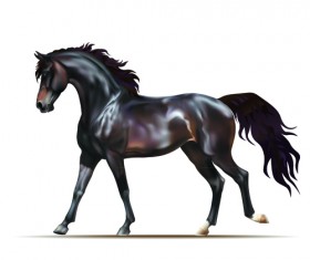 Vivid Horses design vector 01