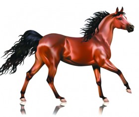Vivid Horses design vector 02