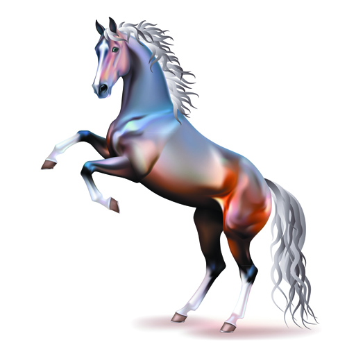 Vivid Horses design vector 04