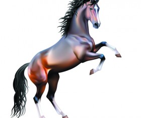 Vivid Horses design vector 05