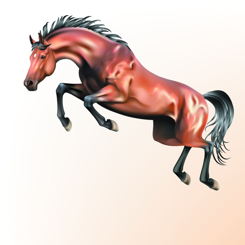Vivid Horses design vector 06