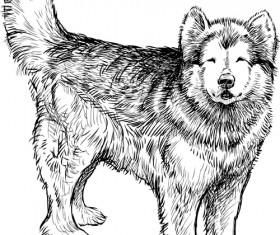 Hand drawn huskies dog vector 01
