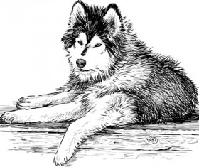 Hand drawn huskies dog vector 03