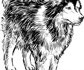 Hand drawn huskies dog vector 05