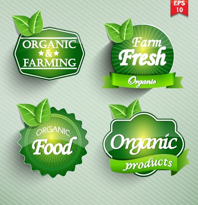 Natural Food label design vector 01