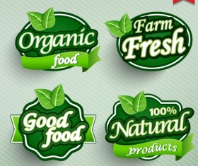 Natural Food label design vector 04