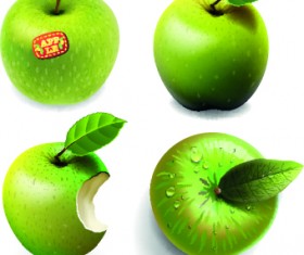 Fresh Apples creative illustration vector 01