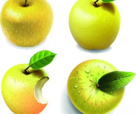 Fresh Apples creative illustration vector 02