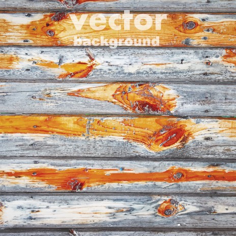 Old wood texture vector background 03