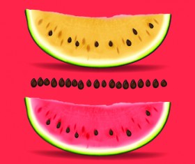 Realistic watermelon elements vector