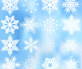 Different snowflakes pattern design vector set 01