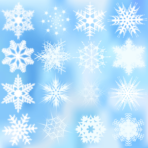 Different snowflakes pattern design vector set 01