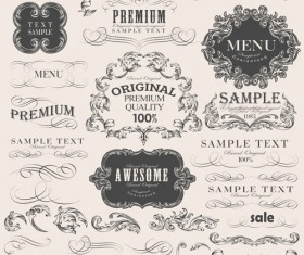 Vintage frame ornaments and calligraphic vector set
