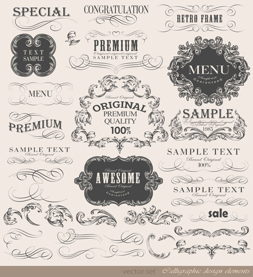 Vintage frame ornaments and calligraphic vector set