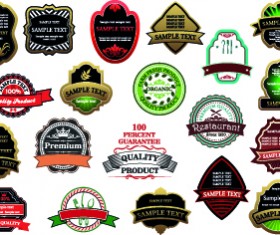 Exquisite labels decorative design vector illustration 01