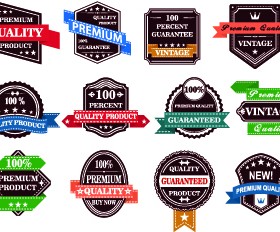 Exquisite labels decorative design vector illustration 06