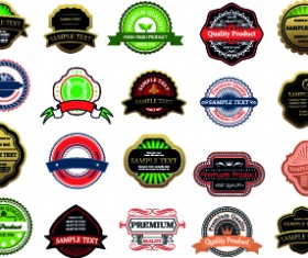 Exquisite labels decorative design vector illustration 07