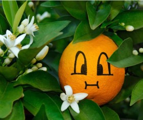 Cute Cartoon Faces Photoshop Brushes