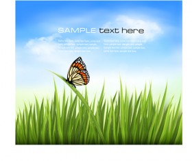Beautiful butterfly and green grass vector background 01