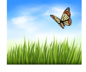 Beautiful butterfly and green grass vector background 03
