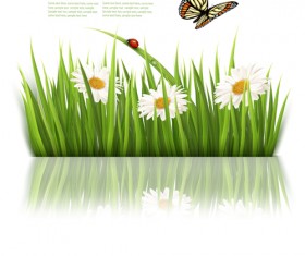 Beautiful butterfly and green grass vector background 04