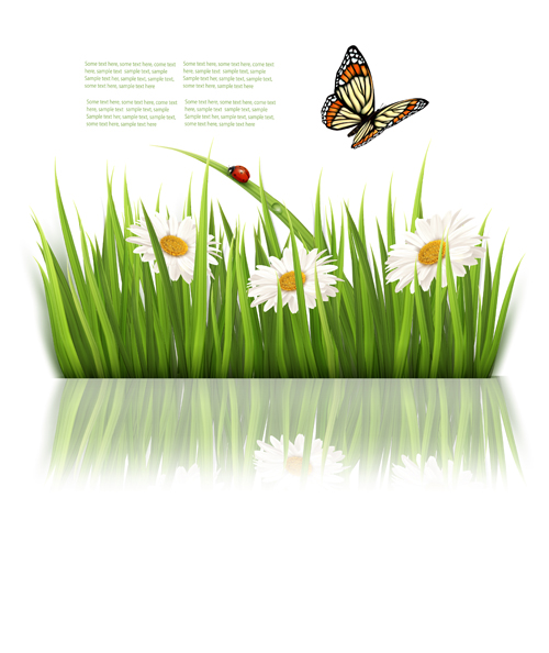 Beautiful butterfly and green grass vector background 04