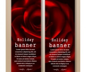 Beautiful rose holiday banner vector