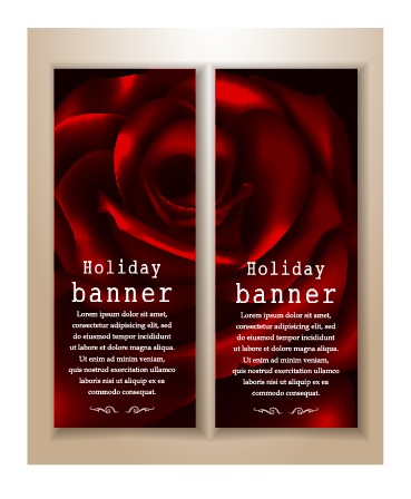 Beautiful rose holiday banner vector