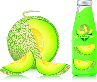 Cantaloupe Drinks with packing vector 04