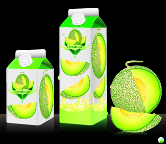 Cantaloupe Drinks with packing vector 05