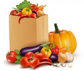 Fresh vegetables and shopping bag vector 02