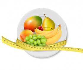 Fruit plate elements vector