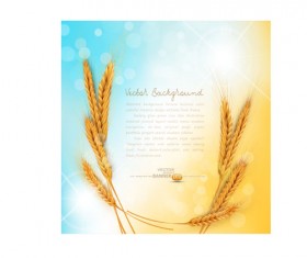 Golden wheat background vector set 04