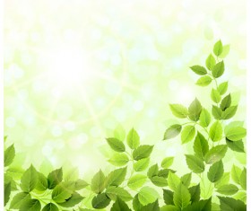 Green leaves with sunlight design vector