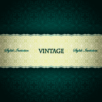 Luxury pattern vintage vector background 04